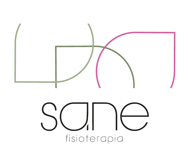 Logo Sane fisioterapia con gráficos