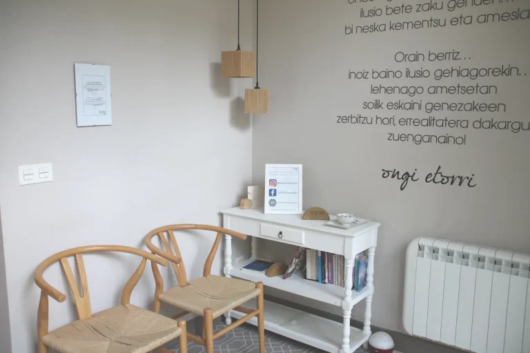 Sane Fisioterapia Bergara-recepcion-ilu