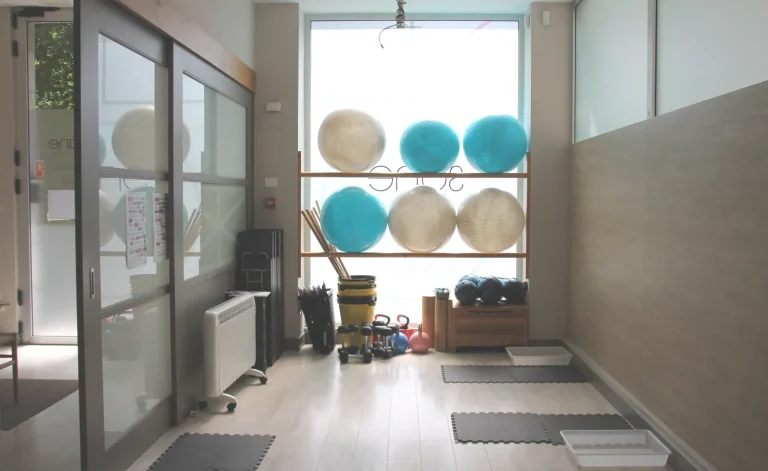 Sane Fisioterapia Bergara-sala-ilu